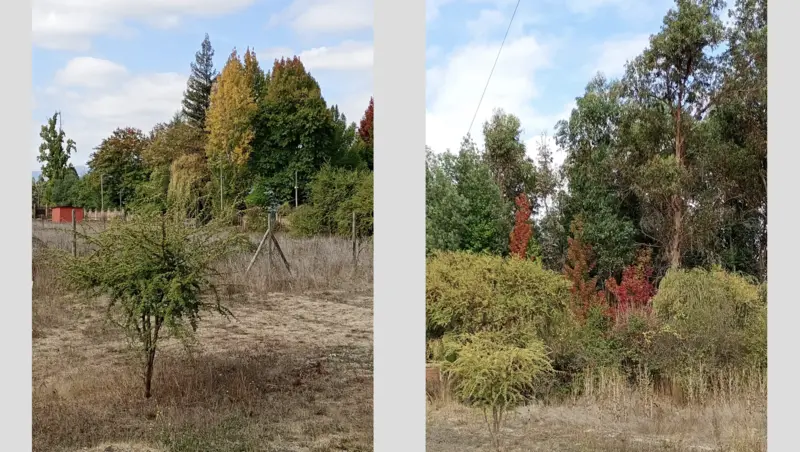 Vista general de la propiedad en el sector de Rari