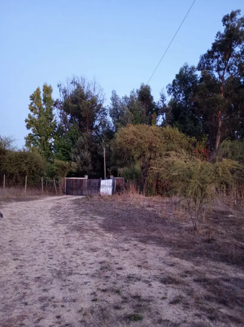 Vista general de la propiedad en el sector de Rari